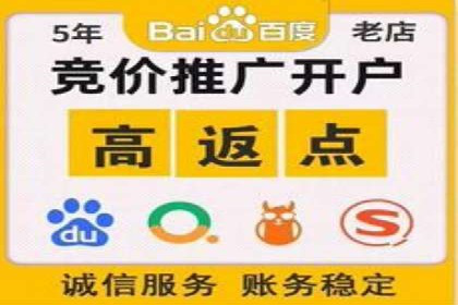 案例分享：百度推广助力企业实现多元化发展